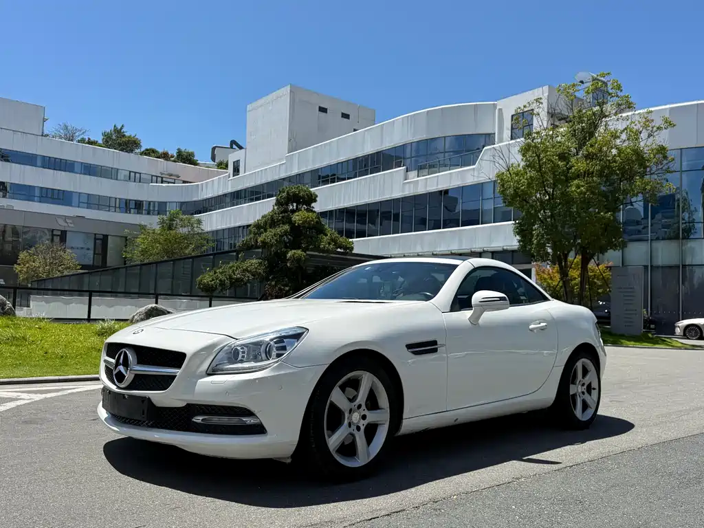 Mercedes-Benz SLK-Class 2014 — фото 1