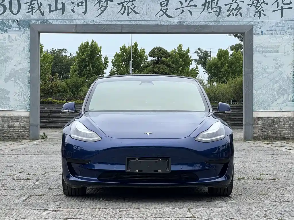 Tesla Model 3 2020 — фото 2