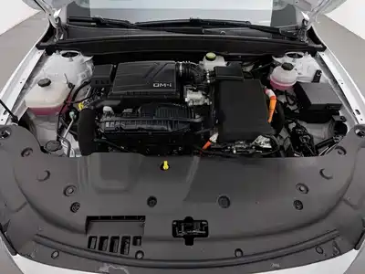BYD Qin PLUS 2024