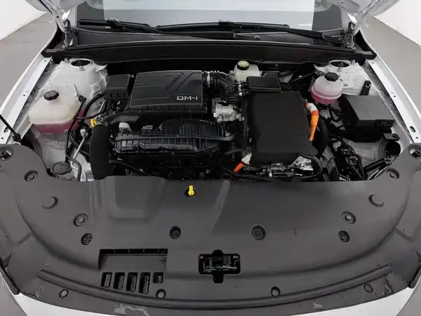 BYD Qin PLUS 2024