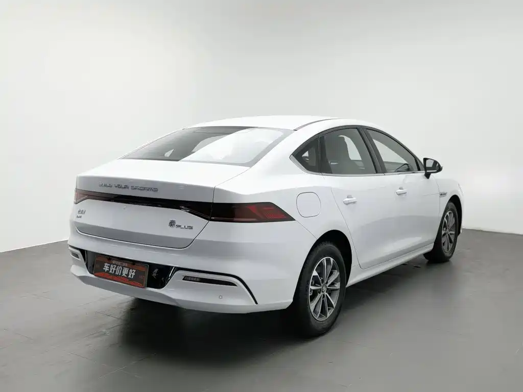 BYD Qin PLUS 2024 — фото 2
