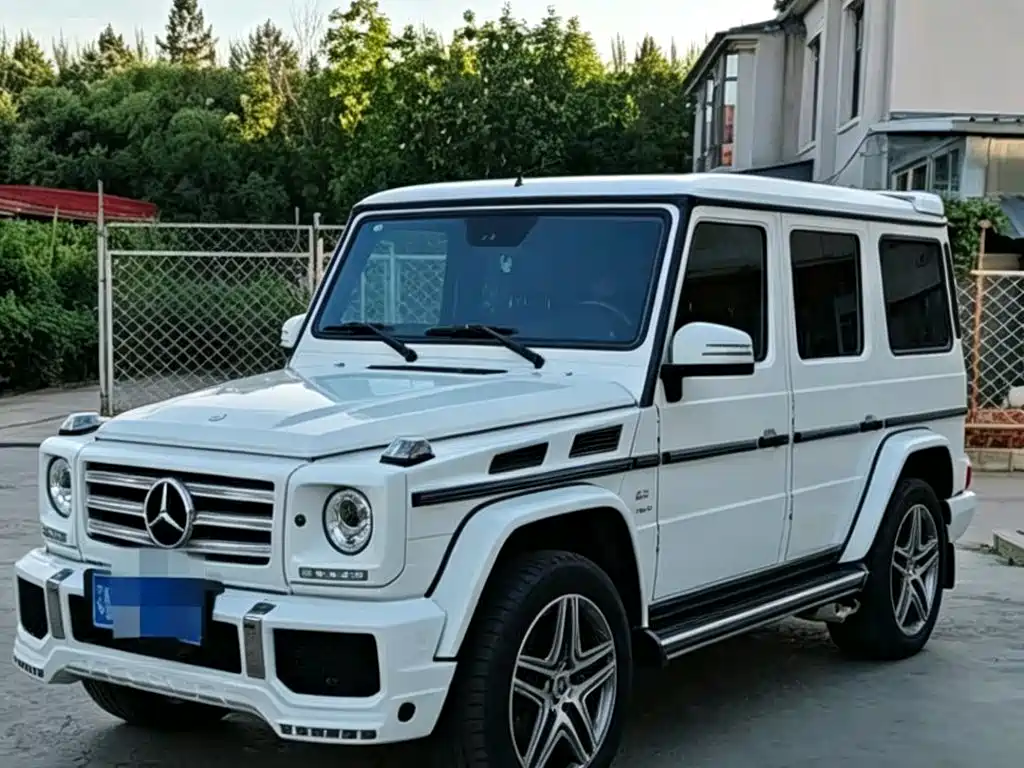Mercedes-Benz G-Class 2014 — фото 1