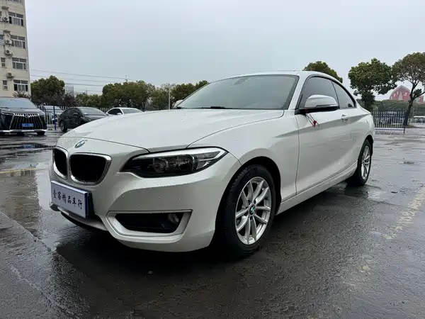 BMW 2 Series 2015