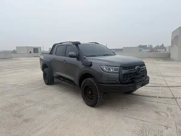 Great Wall Poer 2023