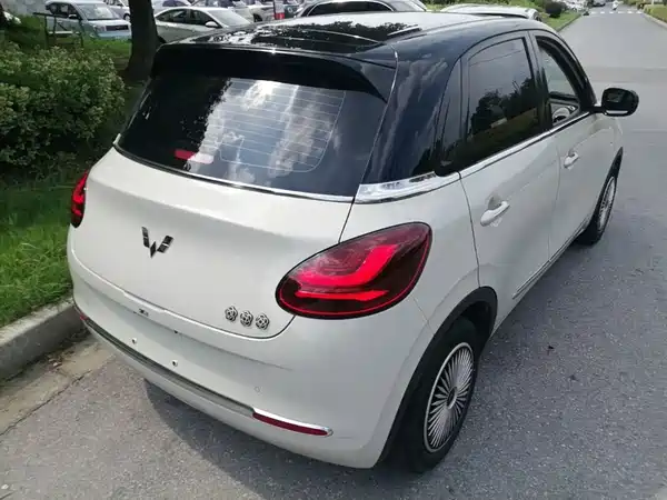 Wuling Bingo 2024