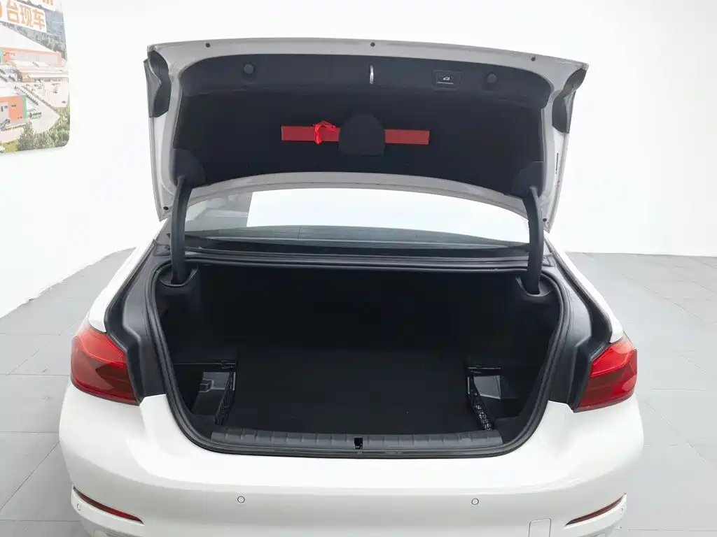 BMW 5 Series New Energy 2020 — фото 16