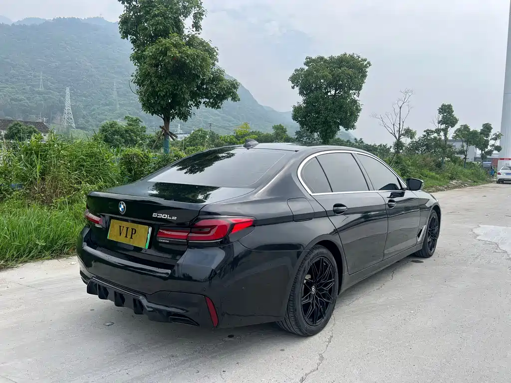 BMW 5 Series New Energy 2020