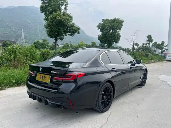 BMW 5 Series New Energy 2020