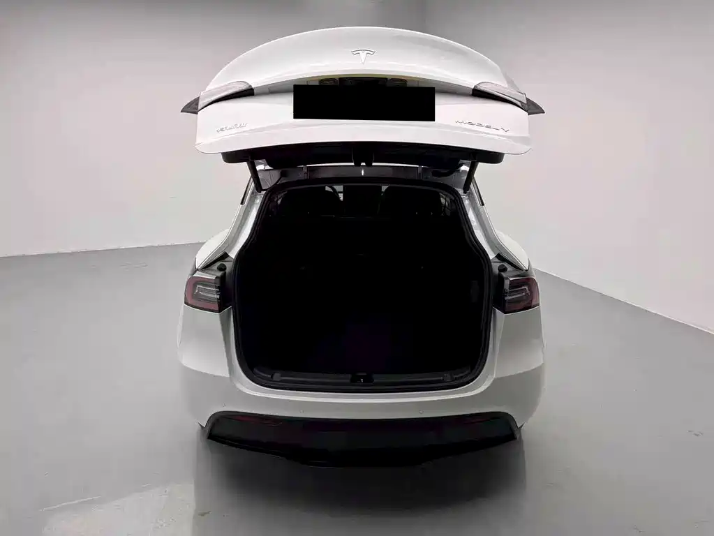 Tesla Model Y 2021 — фото 13