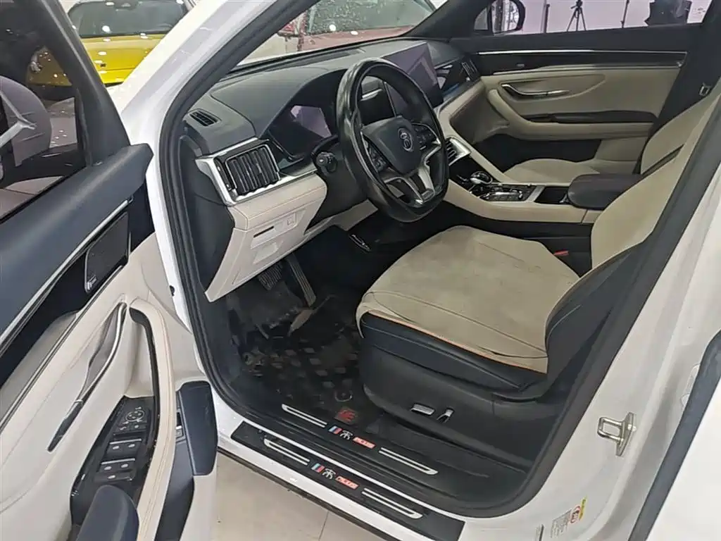 BYD PLUS New Energy 2021 — фото 16