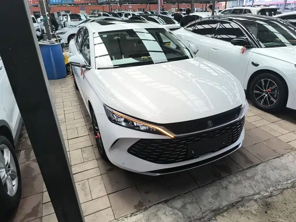 BYD Qin L 2024 — фото 4