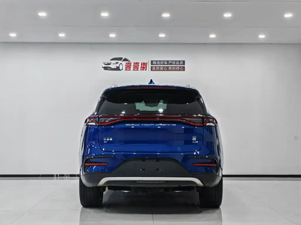 BYD Tang New Energy 2023 — фото 3