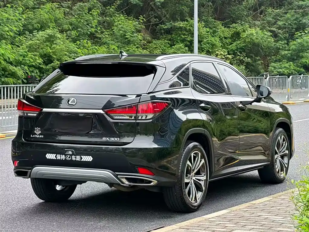Lexus RX 2022 — фото 4