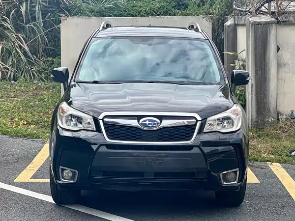 Subaru Forester 2013