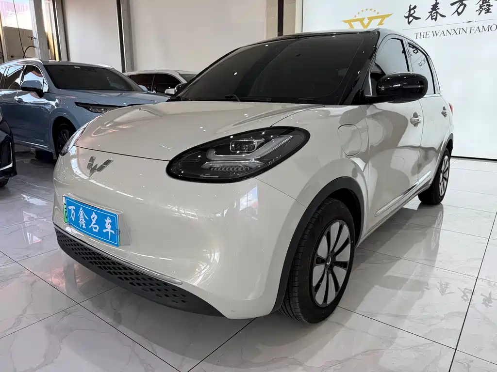 Wuling Bingo 2024