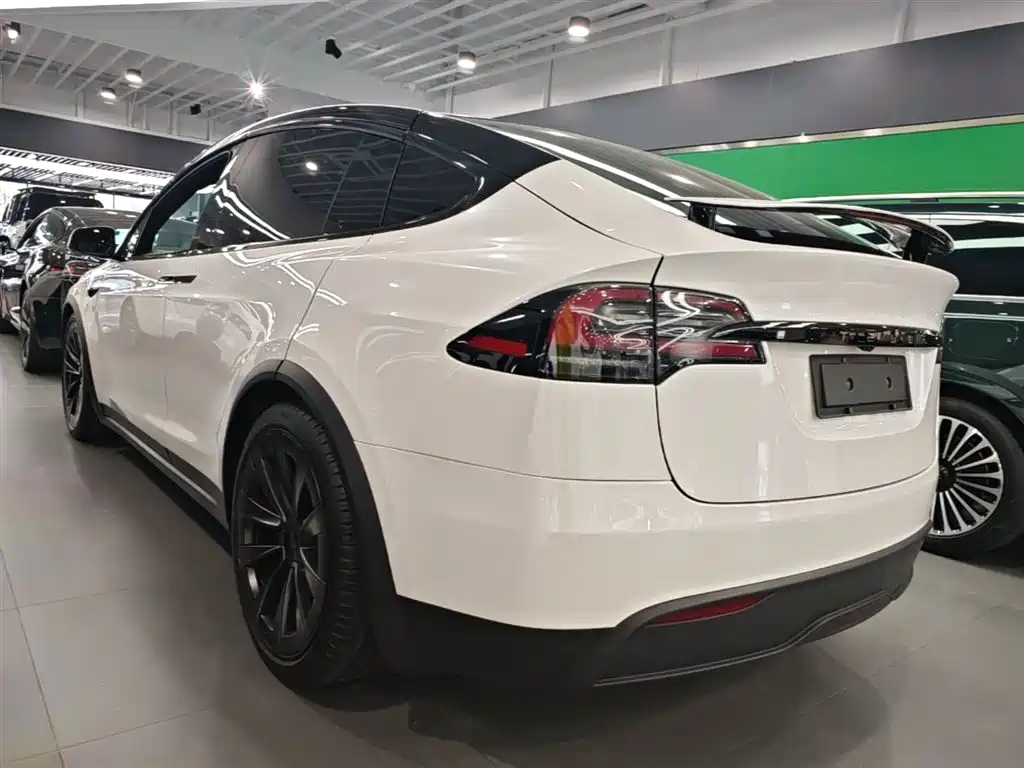 Tesla Model X 2023 — фото 5