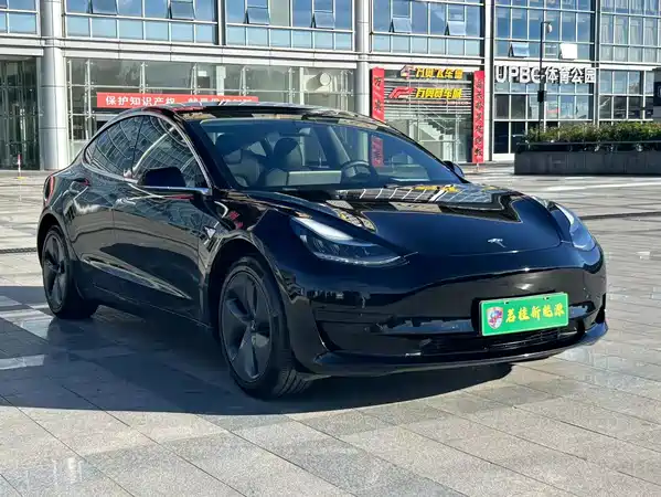 Tesla Model 3 2020