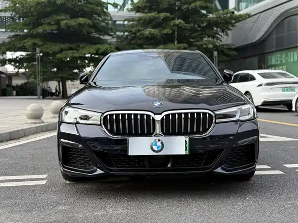 BMW 5 Series New Energy 2021