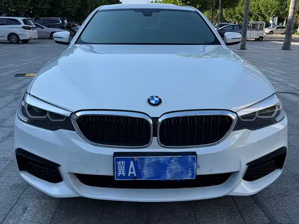 BMW 5 Series 2019