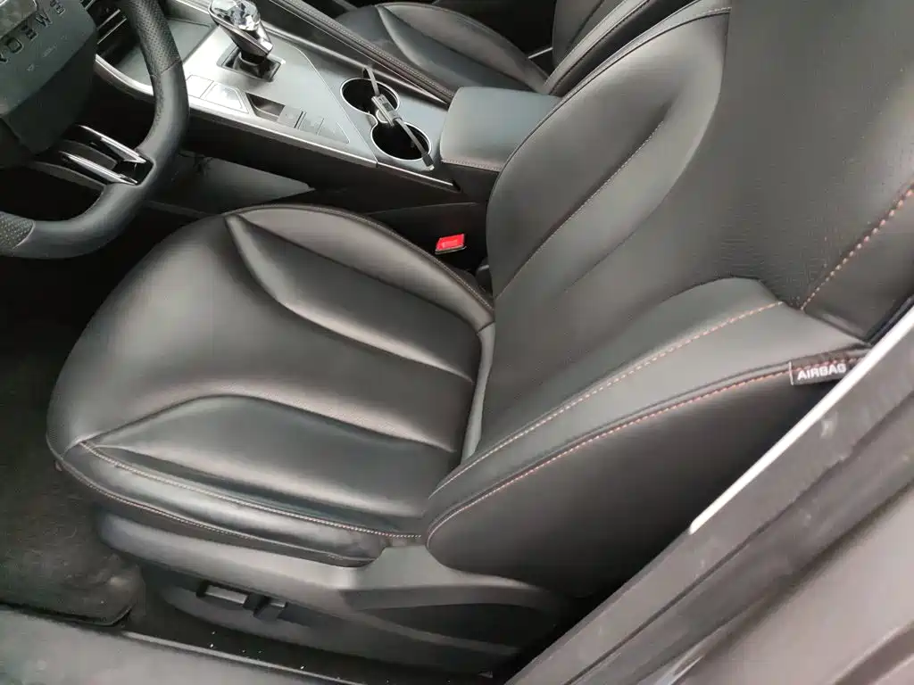 Roewe RX5 New Energy 2023 — фото 8
