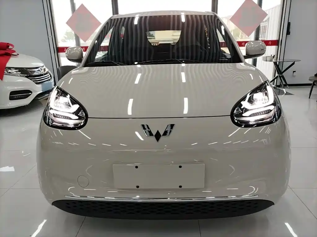 Wuling Bingo 2024