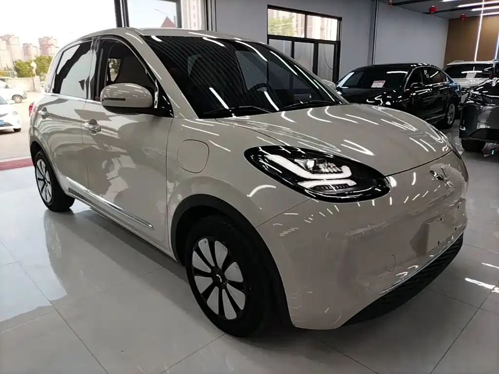 Wuling Bingo 2024