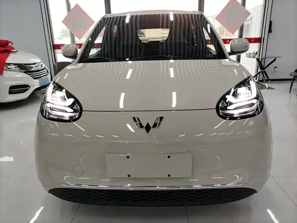 Wuling Bingo 2024
