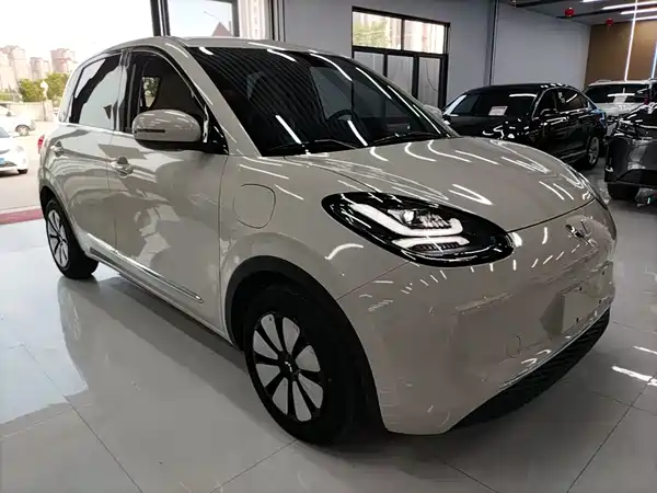 Wuling Bingo 2024