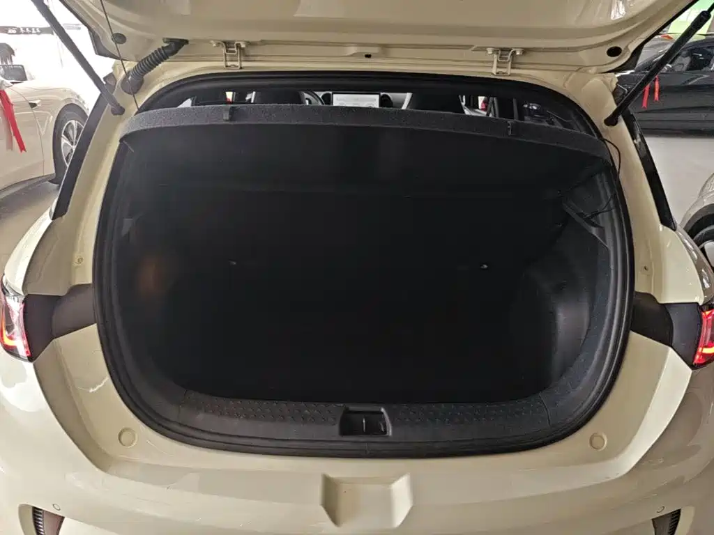 BYD Dolphin 2023 — фото 19