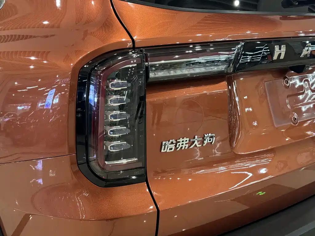 Haval Big Dog 2022 — фото 15