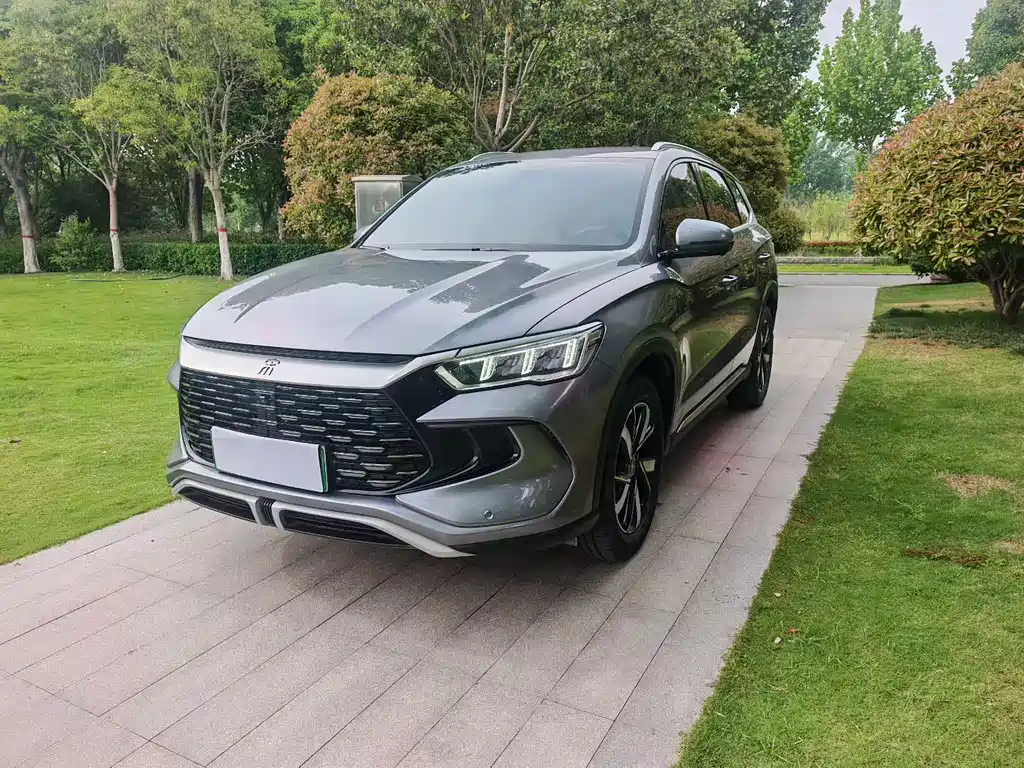 BYD Pro New Energy 2024