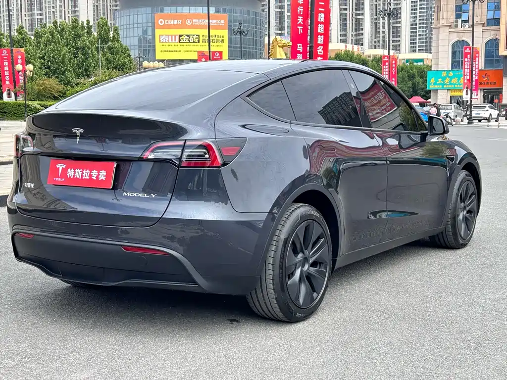 Tesla Model Y 2024 — фото 9