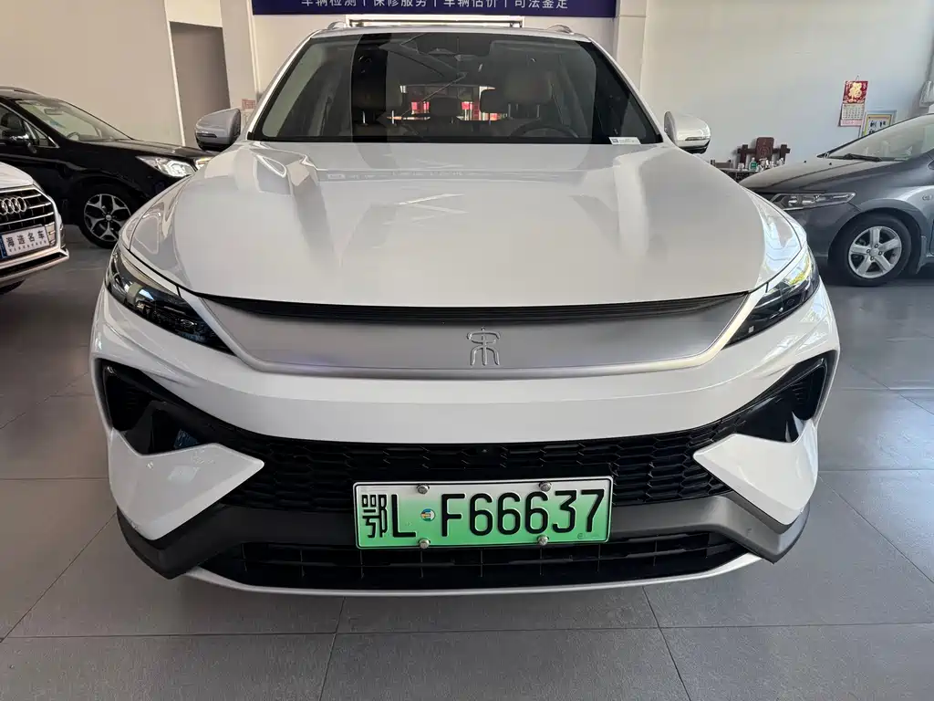 BYD Pro New Energy 2024 — фото 2