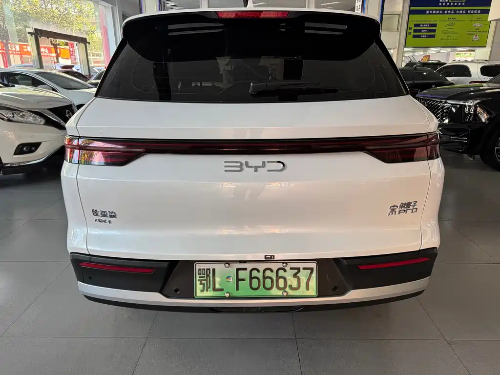 BYD Pro New Energy 2024 — фото 5