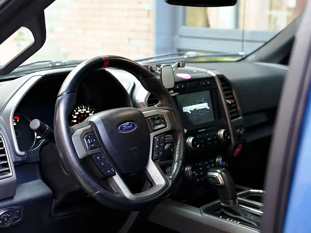 Ford F-150 Raptor 2020 — фото 13