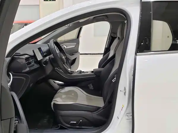 BYD Destroyer 05 2024