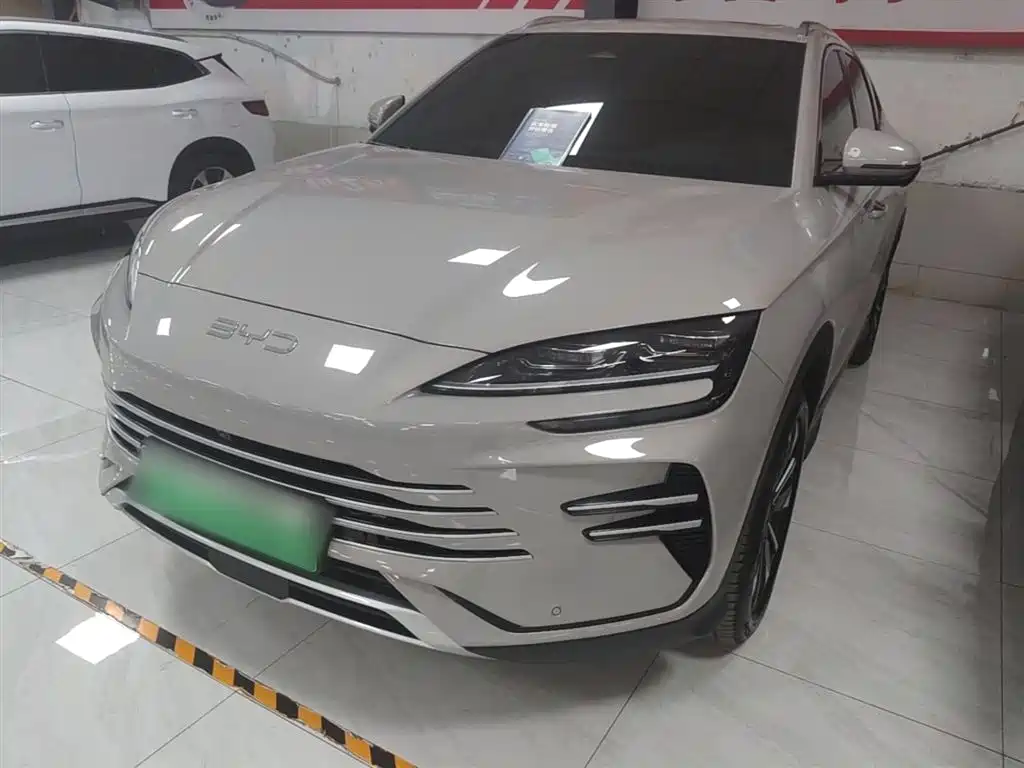 BYD PLUS New Energy 2024 — фото 2