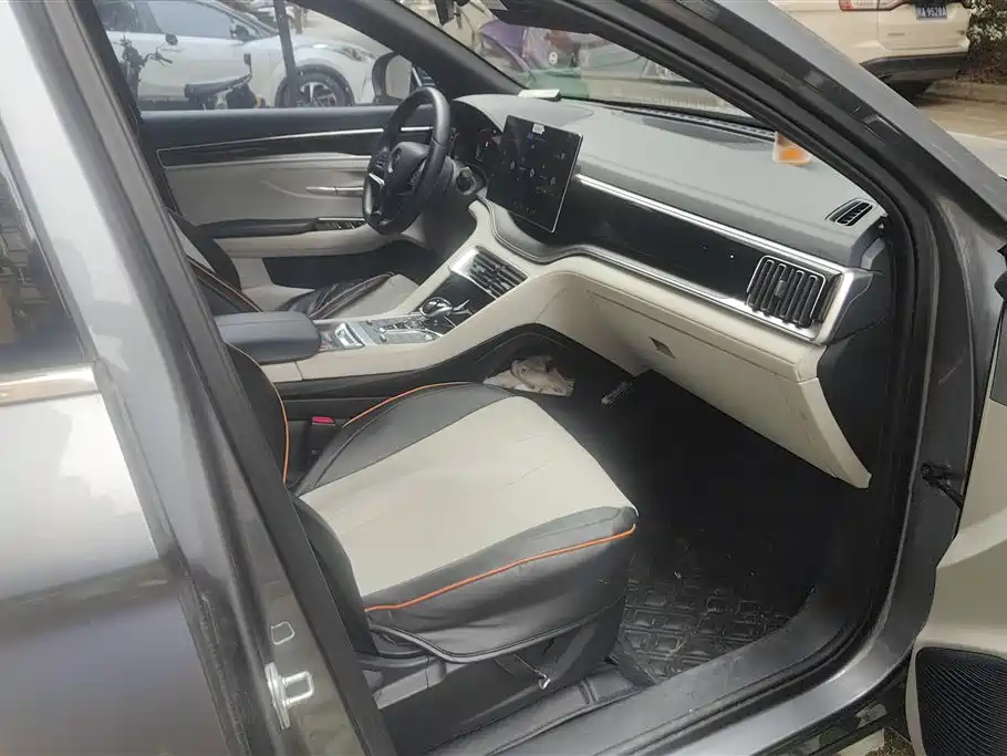 BYD PLUS New Energy 2023 — фото 8