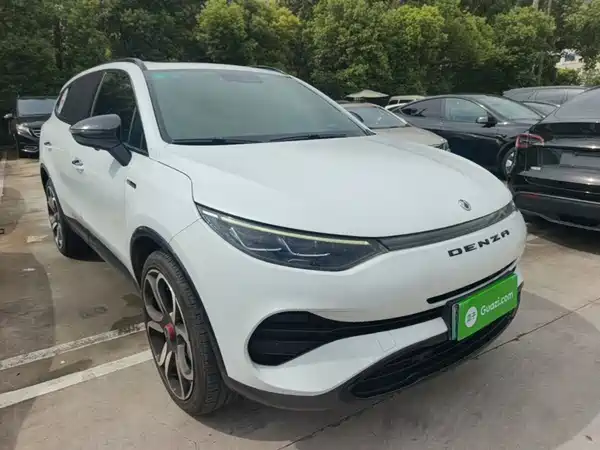 Denza X 2020
