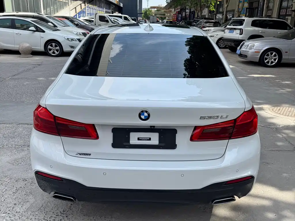 BMW 5 Series 2019