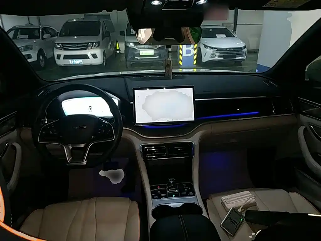 BYD PLUS New Energy 2024 — фото 10