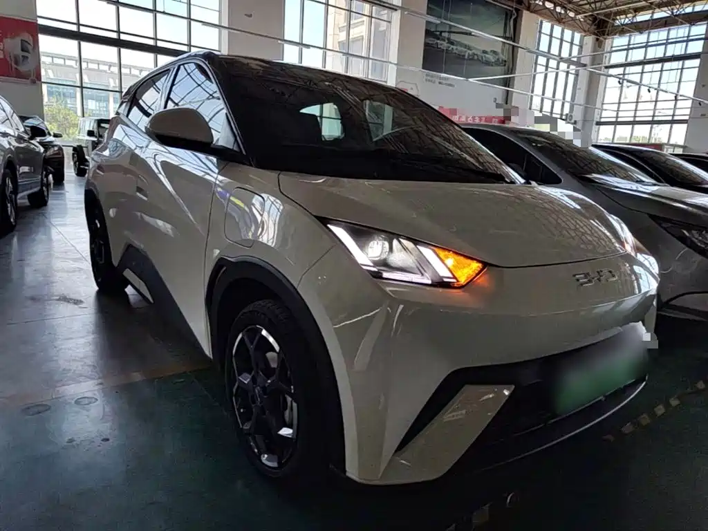 BYD Seagull 2024
