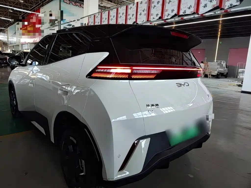 BYD Seagull 2024