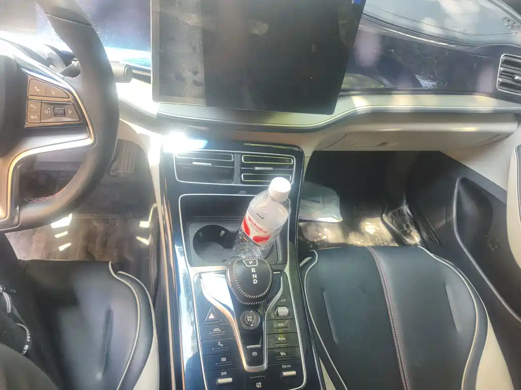 BYD Qin PLUS 2021