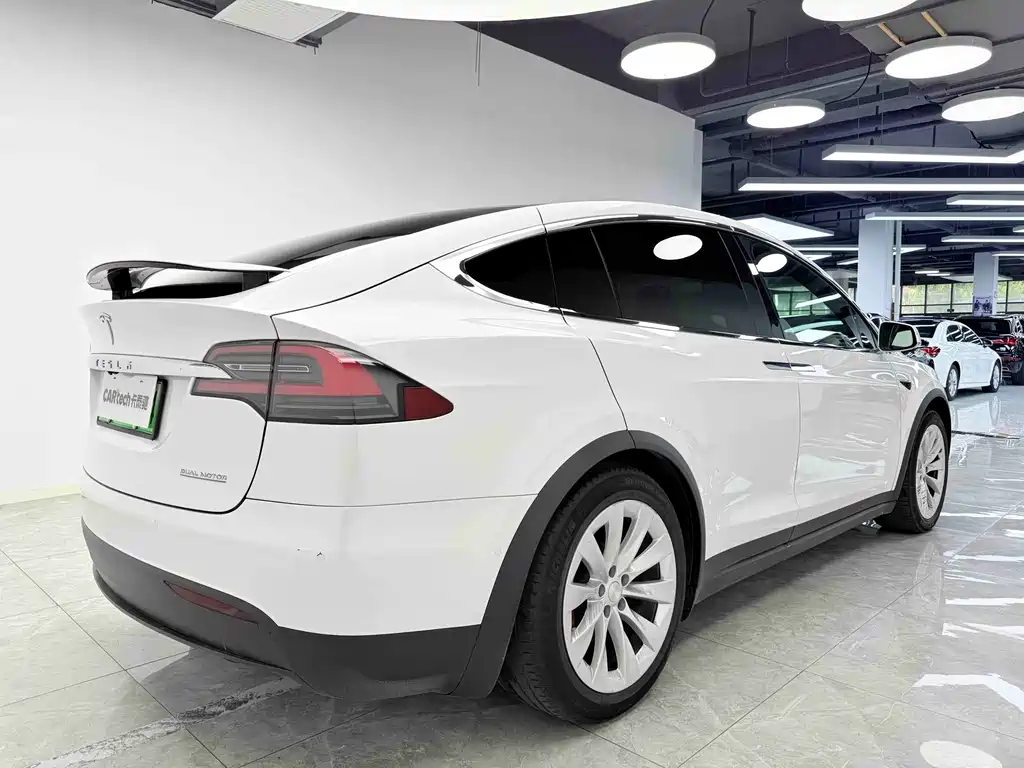 Tesla Model X 2019