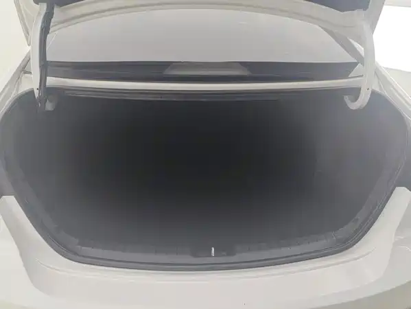 Hyundai Celesta 2018