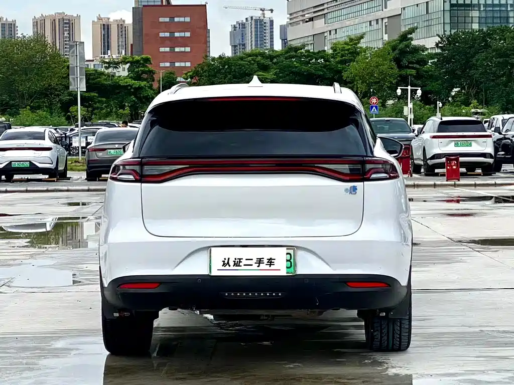 BYD Tang New Energy 2020 — фото 8