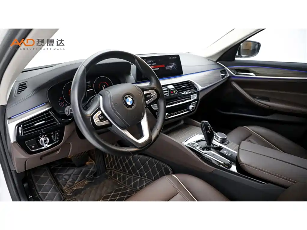 BMW 5 Series New Energy 2019