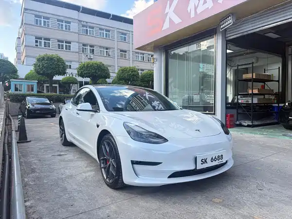 Tesla Model 3 2021