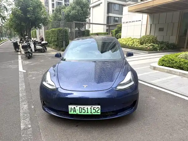 Tesla Model 3 2020